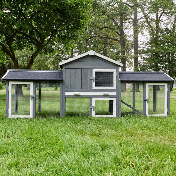 zooprinz Hasenstall Don Camilo